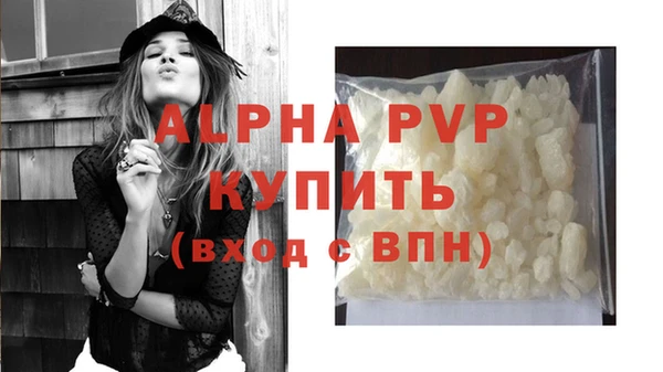 гашик Арсеньев