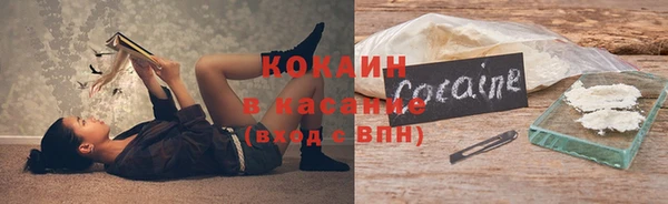 гашик Арсеньев