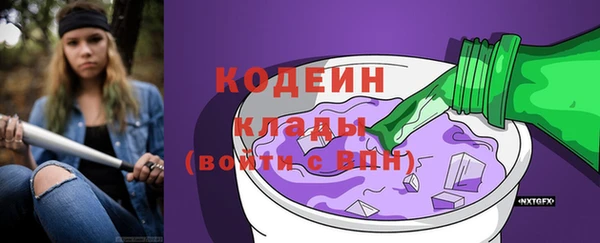 индика Балабаново