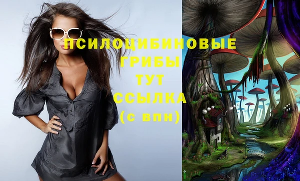 дурь Нея