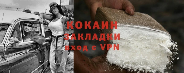 гашик Арсеньев